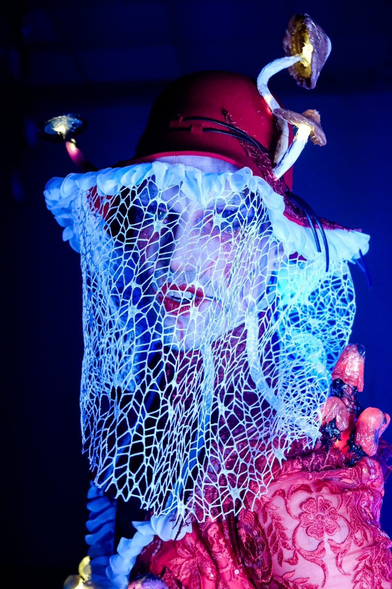 Mushroom Tales photo 2