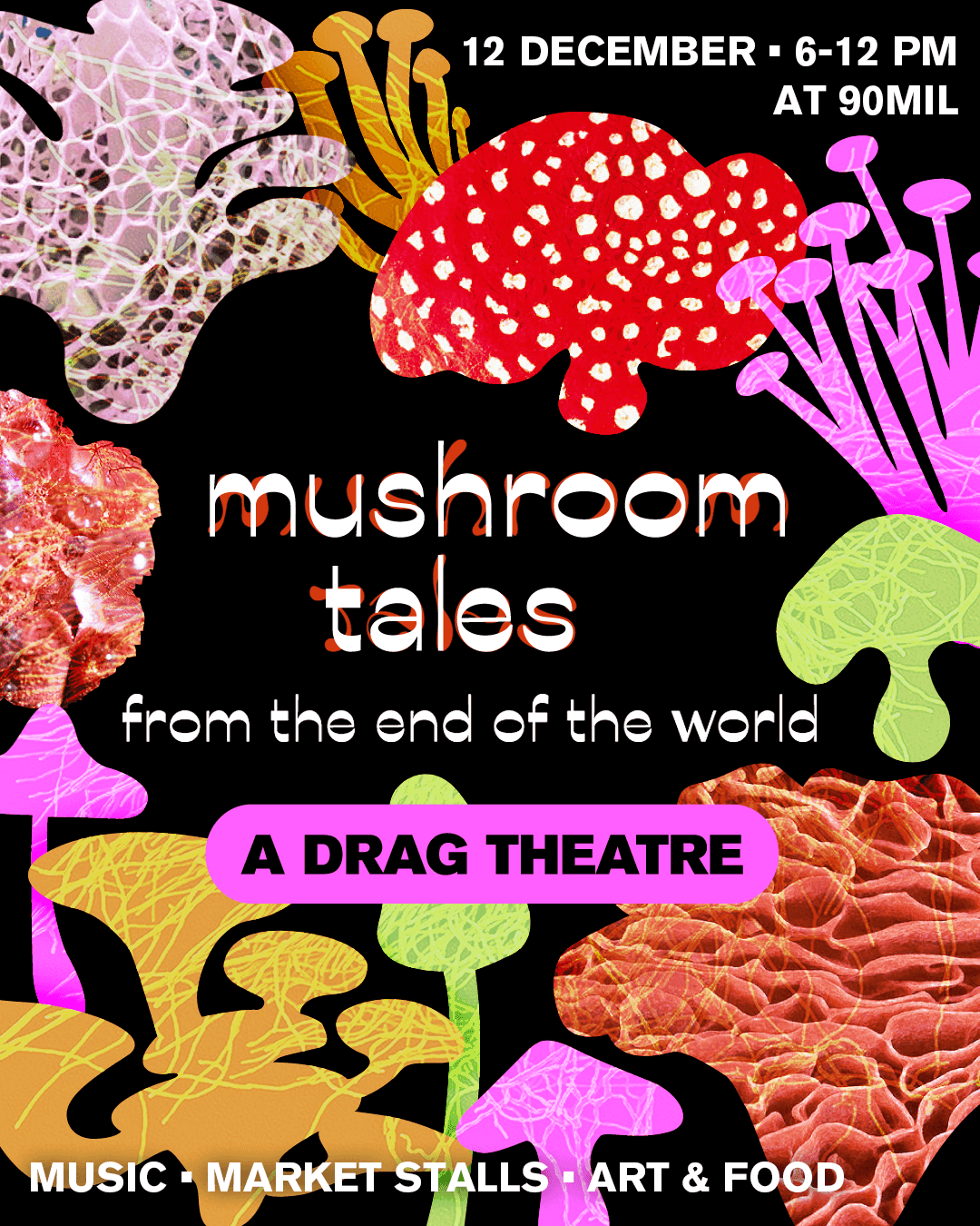 Mushroom Tales photo 4